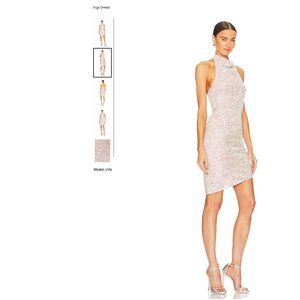 REVOLVE Heartloom Fuji Dress, Size S, Color Bubbly (Silvery Pink) - Worn ONCE
